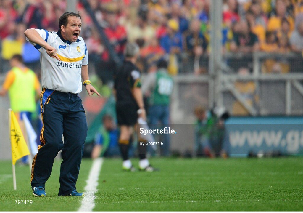 28 September 2013; Clare manager Davy Fitzgerald during the game. GAA Hurling All-Ireland Senior Championship Final Replay, Cork v Clare, Croke Park, Dublin. Photo by Sportsfile