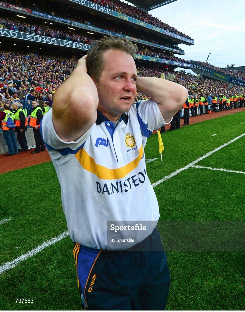 28 September 2013; Clare manager Davy Fitzgerald celebrates after his side's victory. GAA Hurling All-Ireland Senior Championship Final Replay, Cork v Clare, Croke Park, Dublin. Photo by Sportsfile