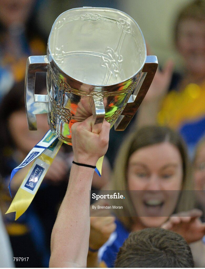 28 September 2013; Clare supporters celebrate as the Liam MacCarthy cup is held aloft after the game. GAA Hurling All-Ireland Senior Championship Final Replay, Cork v Clare, Croke Park, Dublin. Picture credit: Brendan Moran / SPORTSFILE