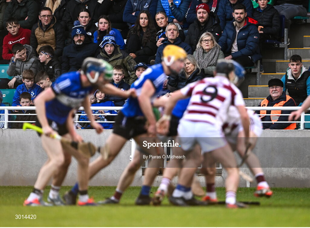 15 December 2024; Spectators during the AIB GAA Hurling All-Ireland Senior Club Championship semi-final match between Sarsfields of Cork and Slaughtneil of Derry at Cedral St Conleth's Park in Newbridge, Kildare. Photo by Piaras Ó Mídheach/Sportsfile
