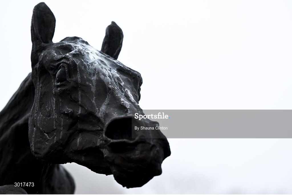 26 December 2024; A decorative horse is seen on day one of the Leopardstown Christmas Festival at Leopardstown Racecourse in Dublin. Photo by Shauna Clinton/Sportsfile