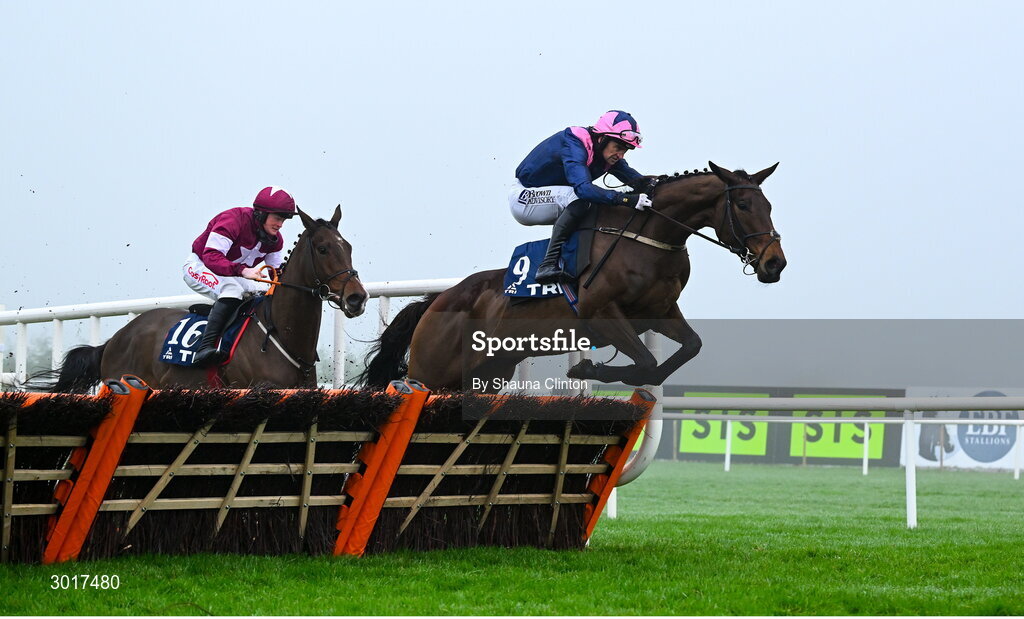 26 December 2024; Kopek Des Bordes, with Patrick Mullins up, right, jumps on the last on his way to winning The TRI Equestrian Maiden Hurdle on day one of the Leopardstown Christmas Festival at Leopardstown Racecourse in Dublin. Photo by Shauna Clinton/Sportsfile