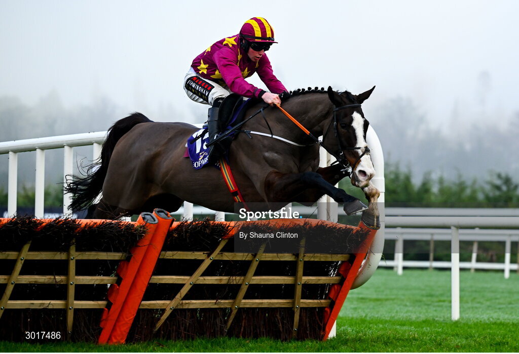 26 December 2024; Workahead, with Mike O'Connor up, jumps the last on the way to winning The Thorntons Recycling Maiden Hurdle race on day one of the Leopardstown Christmas Festival at Leopardstown Racecourse in Dublin. Photo by Shauna Clinton/Sportsfile