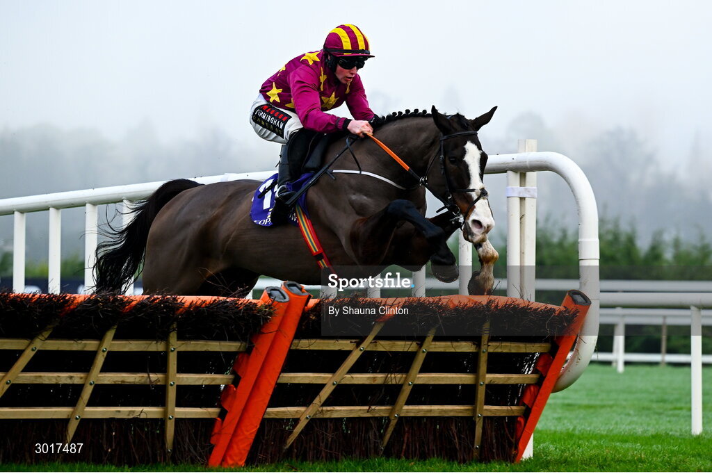 26 December 2024; Workahead, with Mike O'Connor up, jumps the last on the way to winning The Thorntons Recycling Maiden Hurdle race on day one of the Leopardstown Christmas Festival at Leopardstown Racecourse in Dublin. Photo by Shauna Clinton/Sportsfile