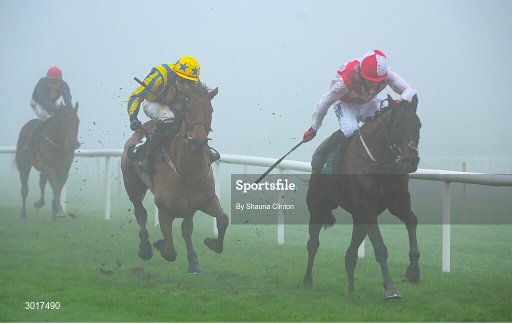 26 December 2024; Hello Neighbour, with Keith Donoghue up, right, on the way to winning The O`Driscolls Irish Whiskey Juvenile Hurdle race on day one of the Leopardstown Christmas Festival at Leopardstown Racecourse in Dublin. Photo by Shauna Clinton/Sportsfile
