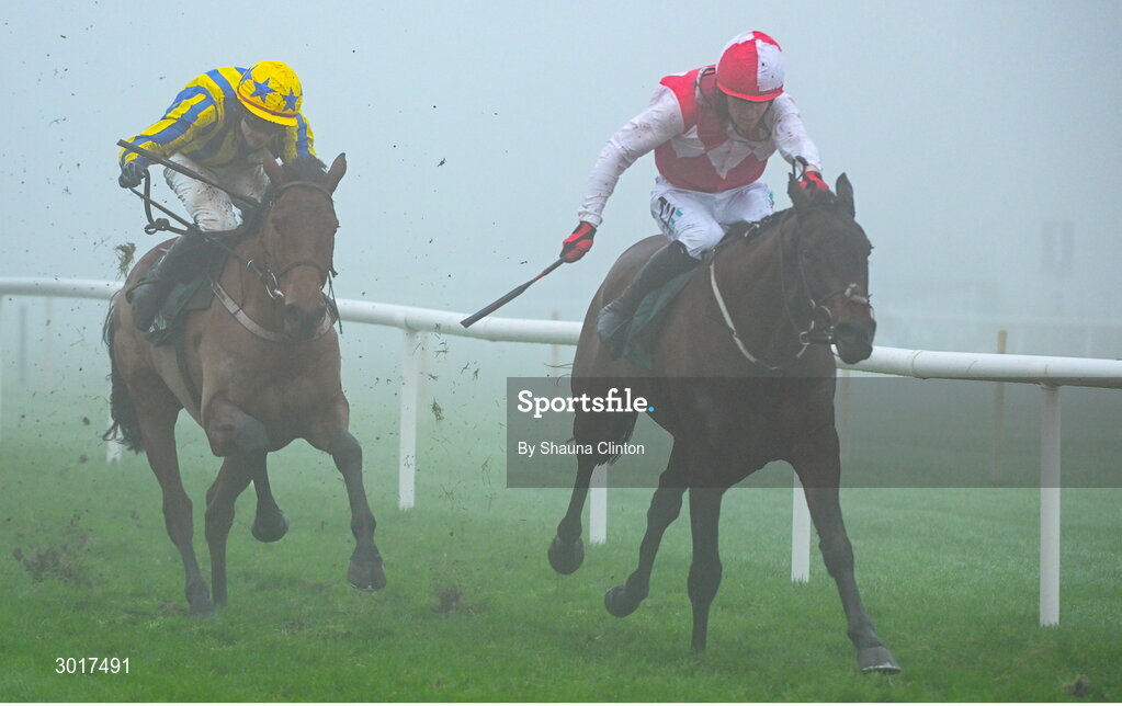 26 December 2024; Hello Neighbour, with Keith Donoghue  up, right, on the way to winning The O`Driscolls Irish Whiskey Juvenile Hurdle race on day one of the Leopardstown Christmas Festival at Leopardstown Racecourse in Dublin. Photo by Shauna Clinton/Sportsfile