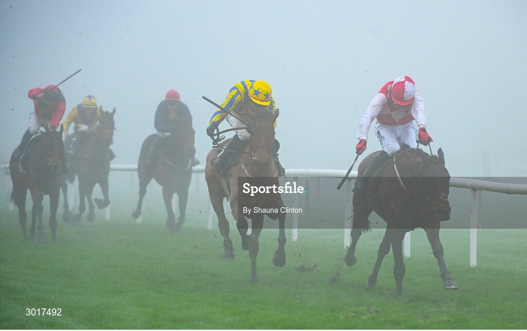 26 December 2024; Hello Neighbour, with Keith Donoghue  up, right, on the way to winning The O`Driscolls Irish Whiskey Juvenile Hurdle race on day one of the Leopardstown Christmas Festival at Leopardstown Racecourse in Dublin. Photo by Shauna Clinton/Sportsfile