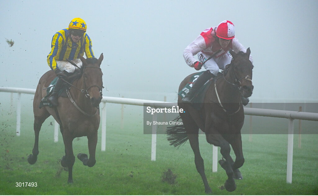 26 December 2024; Hello Neighbour, with Keith Donoghue  up, right, on the way to winning The O`Driscolls Irish Whiskey Juvenile Hurdle race on day one of the Leopardstown Christmas Festival at Leopardstown Racecourse in Dublin. Photo by Shauna Clinton/Sportsfile