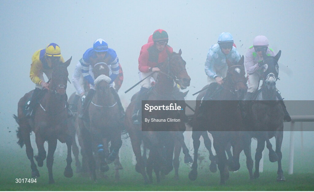 26 December 2024; Horses during the The O`Driscolls Irish Whiskey Juvenile Hurdle race on day one of the Leopardstown Christmas Festival at Leopardstown Racecourse in Dublin. Photo by Shauna Clinton/Sportsfile