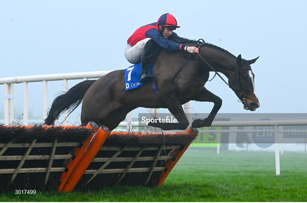 26 December 2024; Shraheen, with Niall Moore up, jumps the last hurdle on the way to winning The Dornan Careers Novice Handicap Hurdle race on day one of the Leopardstown Christmas Festival at Leopardstown Racecourse in Dublin. Photo by Shauna Clinton/Sportsfile