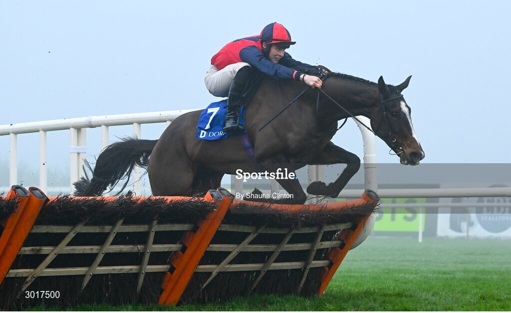 26 December 2024; Shraheen, with Niall Moore up, jumps the last hurdle on the way to winning The Dornan Careers Novice Handicap Hurdle race on day one of the Leopardstown Christmas Festival at Leopardstown Racecourse in Dublin. Photo by Shauna Clinton/Sportsfile