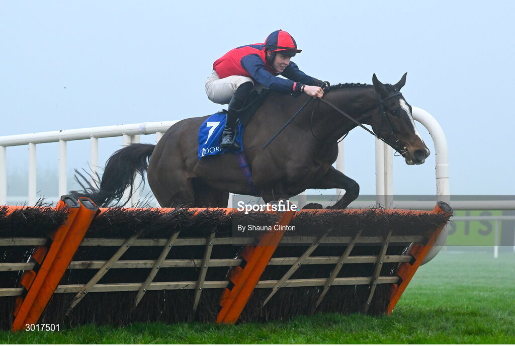 26 December 2024; Shraheen, with Niall Moore up, jumps the last hurdle on the way to winning The Dornan Careers Novice Handicap Hurdle race on day one of the Leopardstown Christmas Festival at Leopardstown Racecourse in Dublin. Photo by Shauna Clinton/Sportsfile
