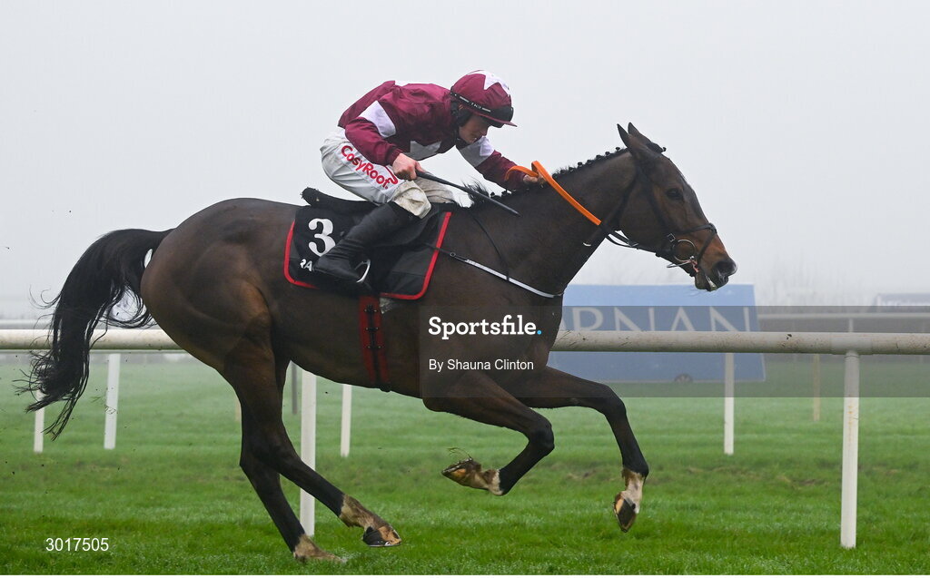 26 December 2024; Croke Park, with Sam Ewing up, crosses the finish line to win The Racing Post Long Distance Novice Steeplechase race on day one of the Leopardstown Christmas Festival at Leopardstown Racecourse in Dublin. Photo by Shauna Clinton/Sportsfile