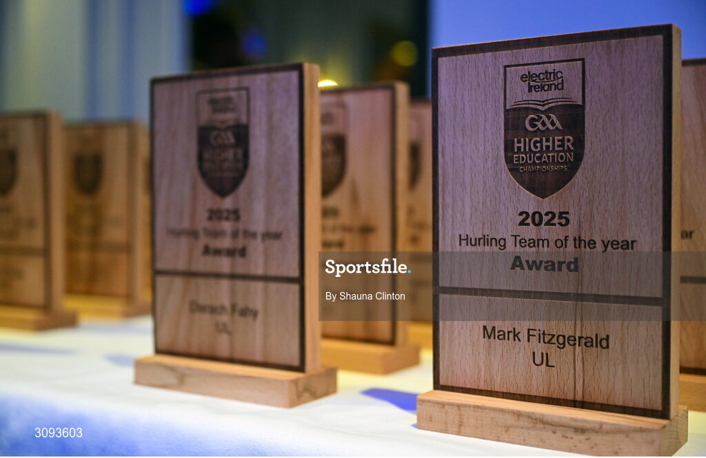 31 March 2025; A general view of the awards during the Electric Ireland Higher Education Rising Stars Awards at Castleknock Hotel in Dublin. Photo by Shauna Clinton/Sportsfile