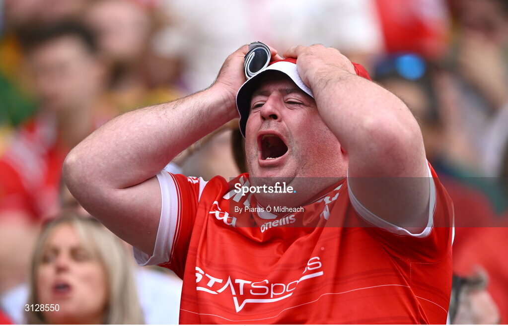 11 May 2025; A Louth supporter during the Leinster GAA Football Senior Championship final match between Louth and Meath at Croke Park in Dublin. Photo by Piaras Ó Mídheach/Sportsfile