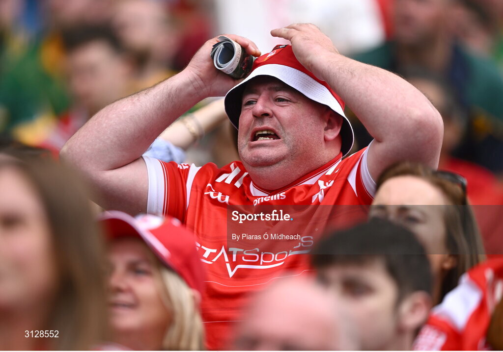 11 May 2025; A Louth supporter during the Leinster GAA Football Senior Championship final match between Louth and Meath at Croke Park in Dublin. Photo by Piaras Ó Mídheach/Sportsfile