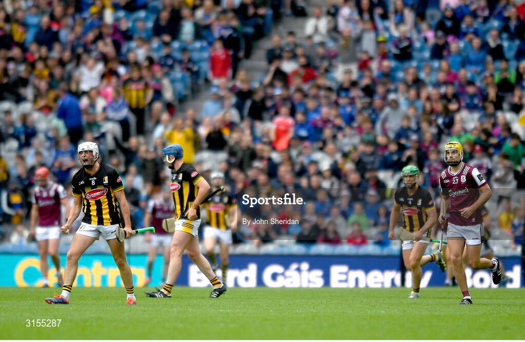 8 June 2025; Cian Kenny of Kilkenny celebrates after his teammate TJ Reid scored their side's second goal during the Leinster GAA Senior Hurling Championship final match between Kilkenny and Galway at Croke Park in Dublin. Photo by John Sheridan/Sportsfile