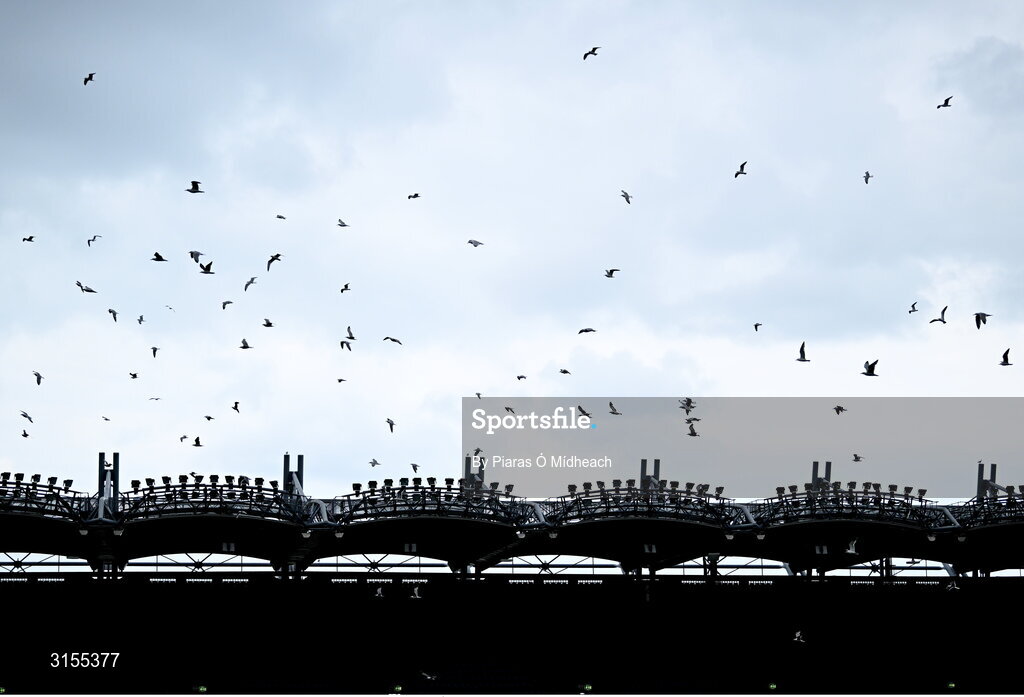 8 June 2025; Seagulls fly over the pitch during the Leinster GAA Senior Hurling Championship final match between Kilkenny and Galway at Croke Park in Dublin. Photo by Piaras Ó Mídheach/Sportsfile