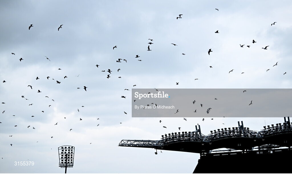 8 June 2025; Seagulls fly over the pitch during the Leinster GAA Senior Hurling Championship final match between Kilkenny and Galway at Croke Park in Dublin. Photo by Piaras Ó Mídheach/Sportsfile