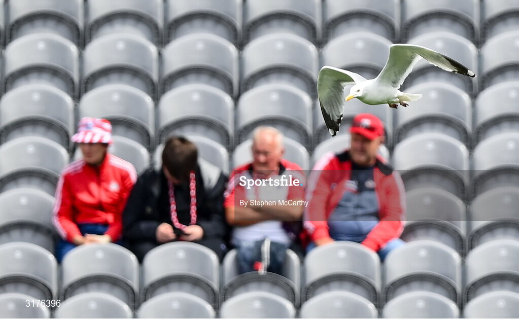 5 July 2025; A seagull flies over before the GAA Hurling All-Ireland Senior Championship semi-final match between Cork and Dublin at Croke Park in Dublin. Photo by Stephen McCarthy/Sportsfile