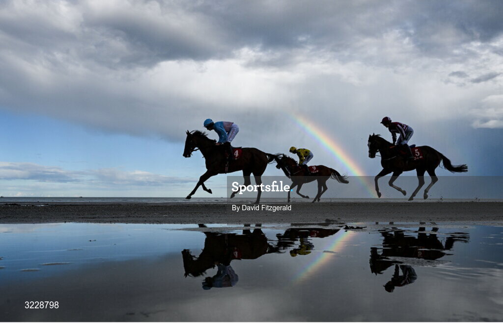 Sportsfile - Image Details - Sports Photography Agency Ireland