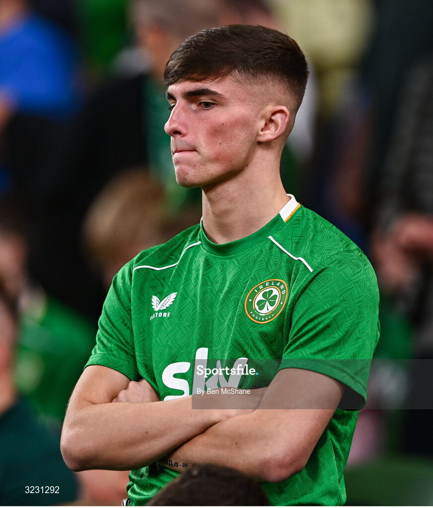6 September 2025; A Republic of Ireland supporter reacts during the FIFA World Cup 2026 Group F qualifying match between Republic of Ireland and Hungary at the Aviva Stadium in Dublin. Photo by Ben McShane/Sportsfile