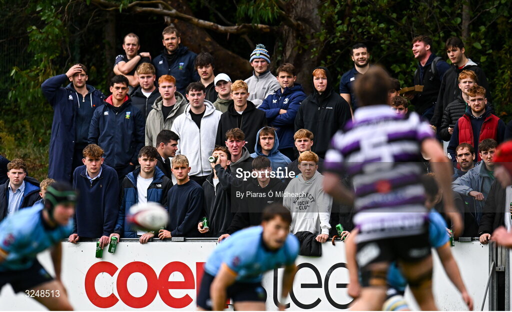 27 September 2025; UCD supporters during the Energia All-Ireland League Division 1A match between UCD and Terenure College RFC at UCD Bowl in Dublin. Photo by Piaras Ó Mídheach/Sportsfile