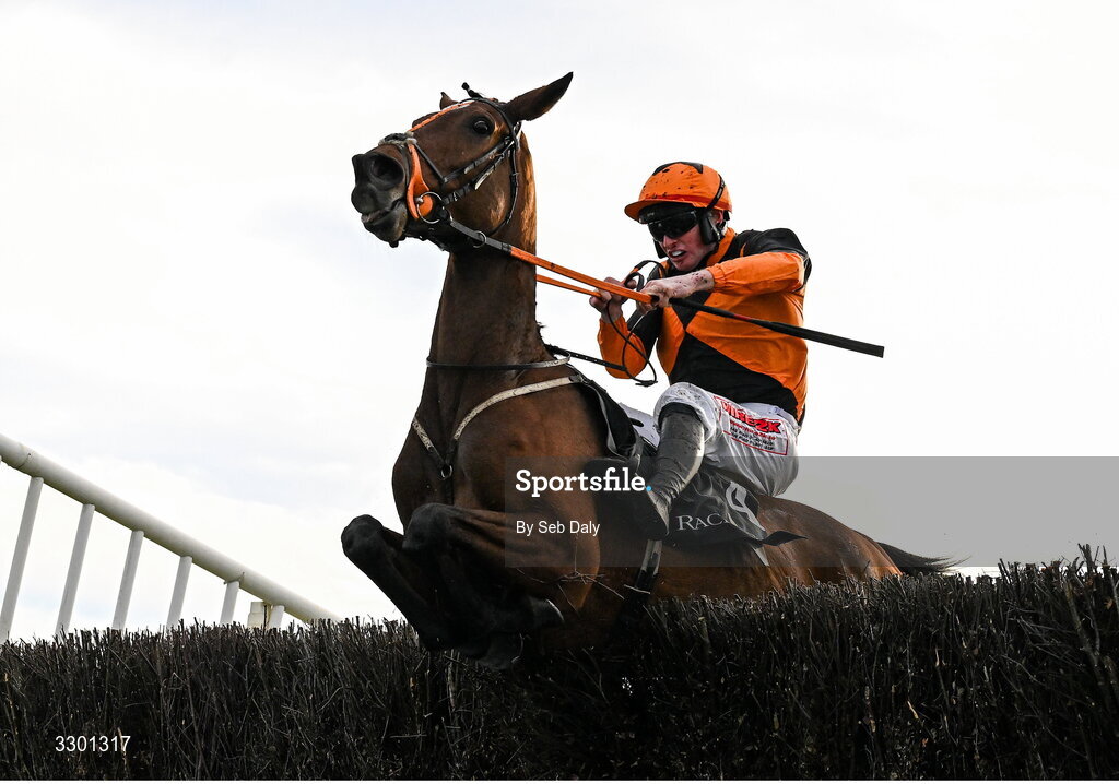 29 November 2025; True Testimony, with Joey Dunne up, jumps the last on their way to winning the Race And Stay Irish EBF Mares Handicap Steeplechase during day one of the Fairyhouse Winter Festival at Fairyhouse Racecourse in Meath. Photo by Seb Daly/Sportsfile