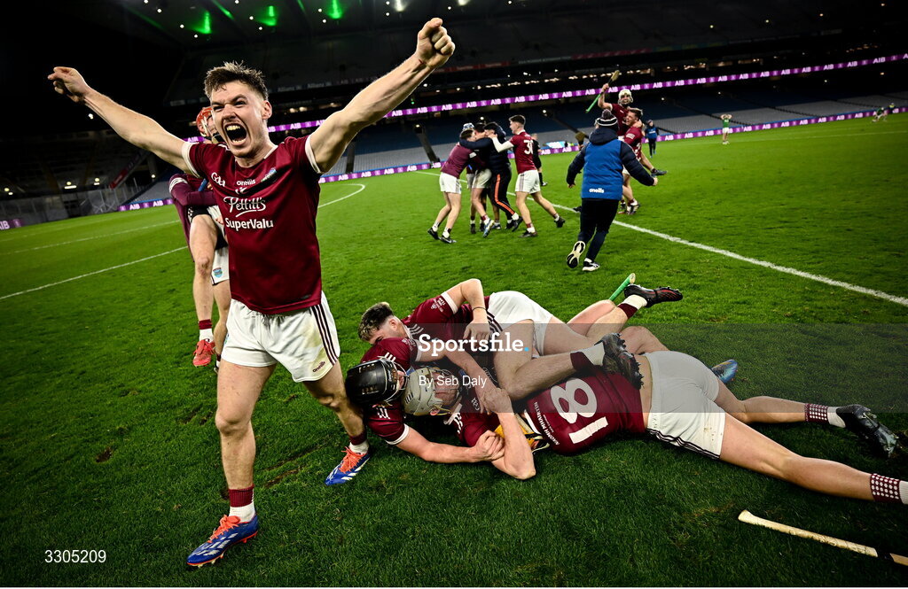 6 December 2025; Jake Firman of St Martin’s, left, and teammates celebrate after their side's victory in the AIB Leinster GAA Hurling Senior Club Championship final match between St Martin's of Wexford and Shamrocks Ballyhale of Kilkenny at Croke Park in Dublin. Photo by Seb Daly/Sportsfile