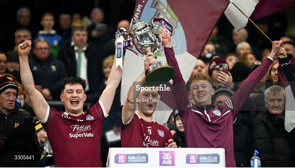6 December 2025; St Martin's players, from left, Michael Codd, David Codd and Brian Codd lift the O'Neill Cup after their side's victory in the AIB Leinster GAA Hurling Senior Club Championship final match between St Martin's of Wexford and Shamrocks Ballyhale of Kilkenny at Croke Park in Dublin. Photo by Seb Daly/Sportsfile
