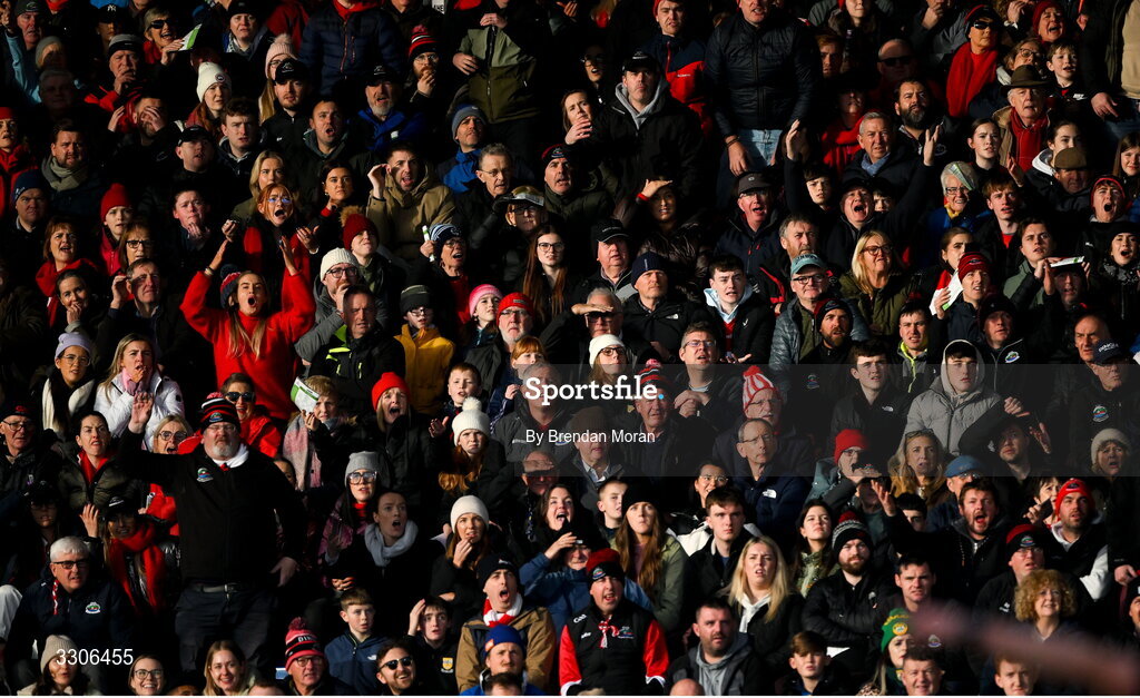 7 December 2025; Dingle supporters react to a refereeing decision during the AIB Munster GAA Football Senior Club Championship final match between Dingle and St Finbarr's at FBD Semple Stadium in Thurles, Tipperary. Photo by Brendan Moran/Sportsfile