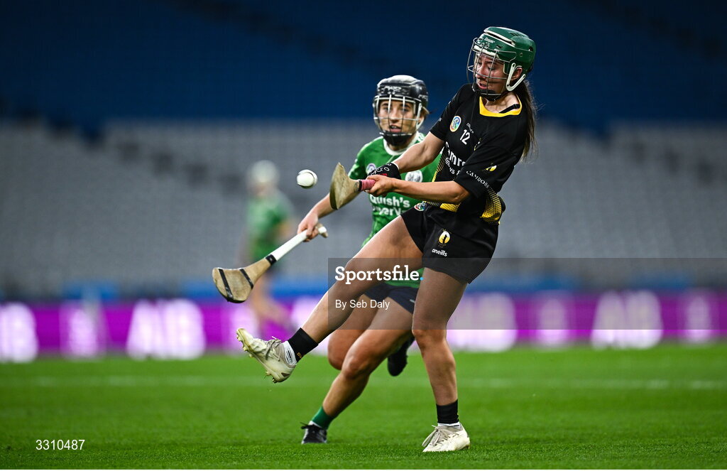 14 December 2025; Andrea Scully of Camross during the AIB All-Ireland Camogie Intermediate Club Championship final match between Ballincollig of Cork and Camross of Laois at Croke Park in Dublin. Photo by Seb Daly/Sportsfile