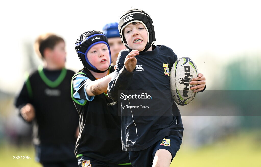 7 March 2026; Action during the Aviva Minis Rugby Festival at Balbriggan Rugby Club in Dublin. Photo by Ramsey Cardy/Sportsfile