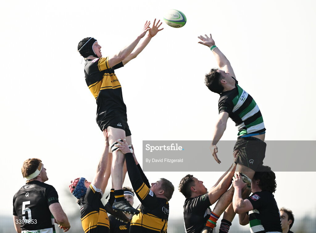 21 March 2026; Marc Kelly of Malahide wins possession from a lineout during the Energia All-Ireland League Men's Division 2C match between Malahide RFC and Clonmel RFC at Malahide RFC on Estuary Road in Dublin. Photo by David Fitzgerald/Sportsfile