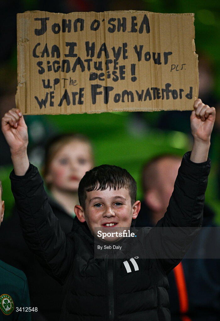 31 March 2026; A Republic of Ireland supporter during the international friendly match between Republic of Ireland and North Macedonia at the Aviva Stadium in Dublin. Photo by Seb Daly/Sportsfile
