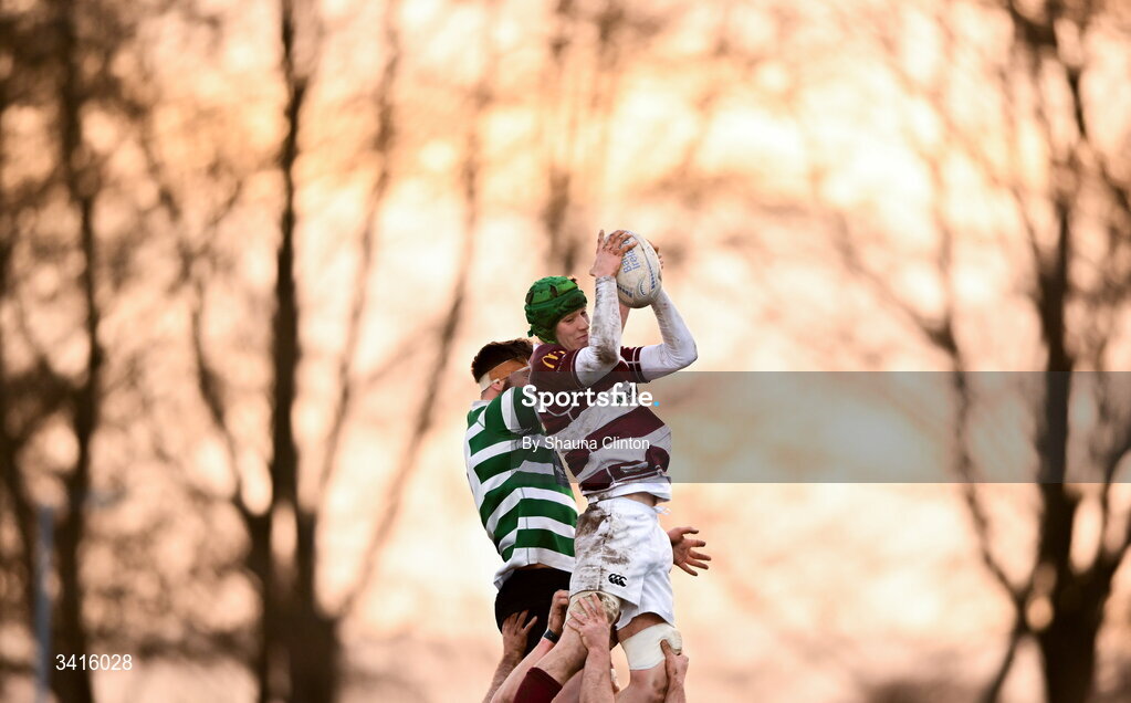 4 April 2026; Tom Hughes of Tullow RFC wins possession in the lineout during the Bank of Ireland Provincial Towns Cup semi-final match between Naas RFC and Tullow RFC at County Carlow RFC in Oakpark, Carlow. Photo by Shauna Clinton/Sportsfile