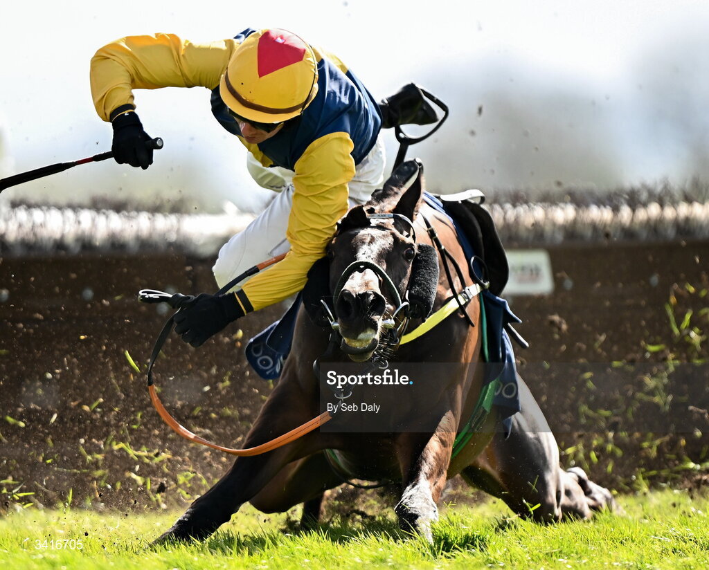 5 April 2026; Blake and jockey Donagh Meyler fall at the last during the Donohue Marquees Novice Hurdle on day two of the Fairyhouse Easter Festival at Fairyhouse Racecourse in Ratoath, Meath. Photo by Seb Daly/Sportsfile
