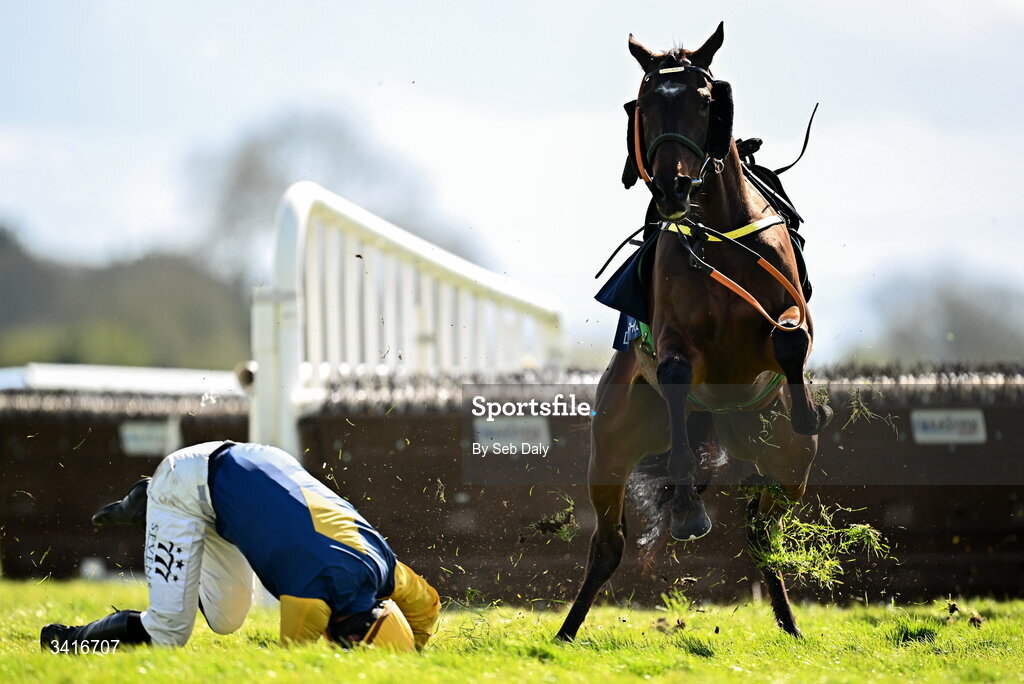 5 April 2026; Blake and jockey Donagh Meyler after falling at the last during the Donohue Marquees Novice Hurdle on day two of the Fairyhouse Easter Festival at Fairyhouse Racecourse in Ratoath, Meath. Photo by Seb Daly/Sportsfile