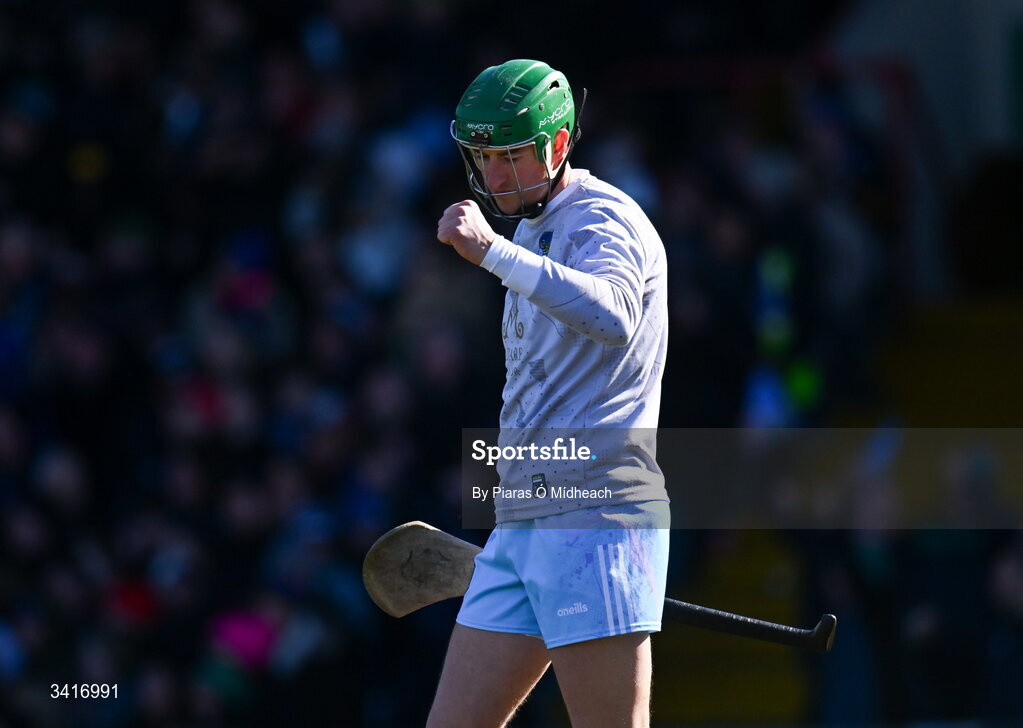 5 April 2026; Limerick goalkeeper Nickie Quaid celebrates during the Allianz Hurling League Division 1A final match between Limerick and Cork at TUS Gaelic Grounds in Limerick. Photo by Piaras Ó Mídheach/Sportsfile