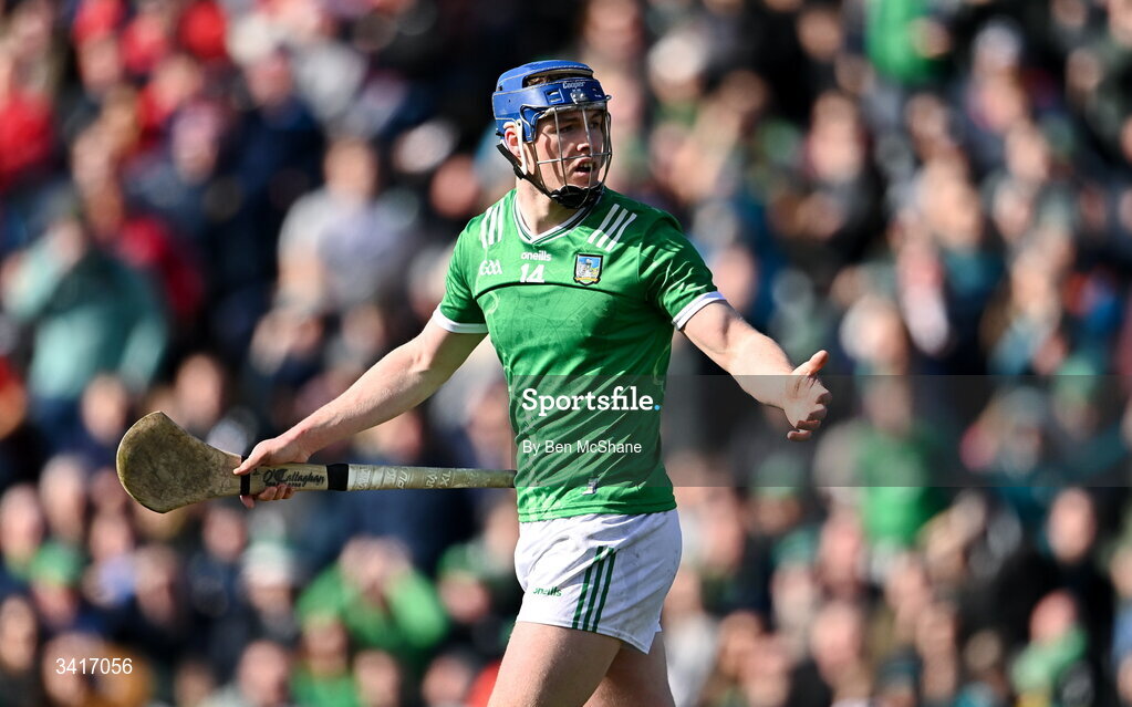5 April 2026; Shane O'Brien of Limerick reacts during the Allianz Hurling League Division 1A final match between Limerick and Cork at TUS Gaelic Grounds in Limerick. Photo by Ben McShane/Sportsfile