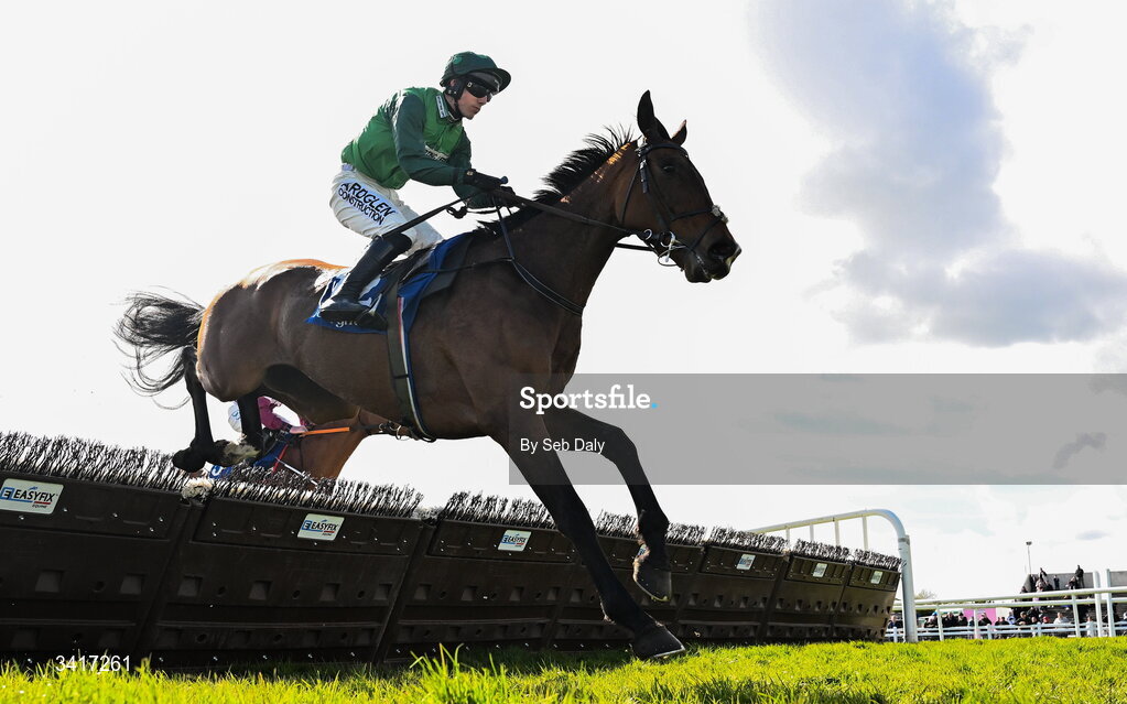 5 April 2026; You Proof, with Brian Hayes up, during the Paddy Kehoe Suspended Ceilings Novice Hurdle on day two of the Fairyhouse Easter Festival at Fairyhouse Racecourse in Ratoath, Meath. Photo by Seb Daly/Sportsfile