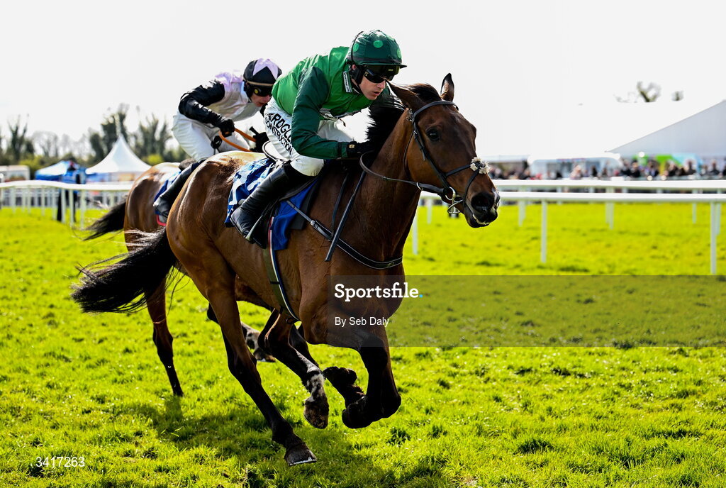 5 April 2026; You Proof, with Brian Hayes up, during the Paddy Kehoe Suspended Ceilings Novice Hurdle on day two of the Fairyhouse Easter Festival at Fairyhouse Racecourse in Ratoath, Meath. Photo by Seb Daly/Sportsfile