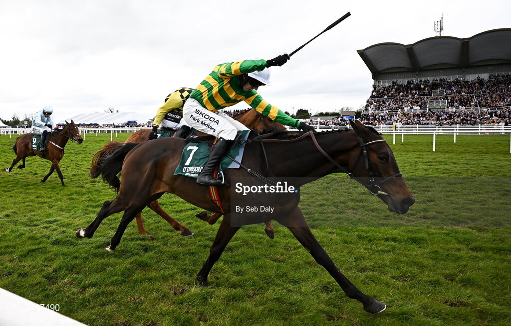 6 April 2026; Proactif, with Mark Walsh up, on their way to winning the O'Driscoll's Irish Whiskey Juvenile Hurdle during day three of the Fairyhouse Easter Festival at Fairyhouse Racecourse in Ratoath, Meath. Photo by Seb Daly/Sportsfile