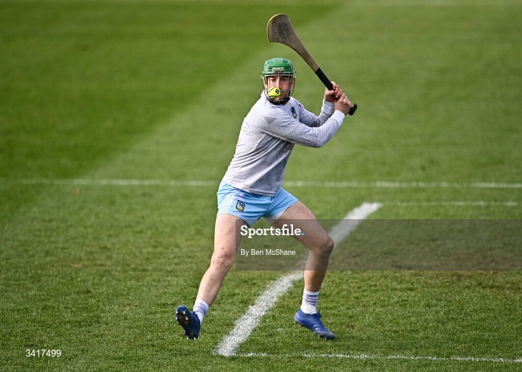5 April 2026; Limerick goalkeeper Nickie Quaid during the Allianz Hurling League Division 1A final match between Limerick and Cork at TUS Gaelic Grounds in Limerick. Photo by Ben McShane/Sportsfile
