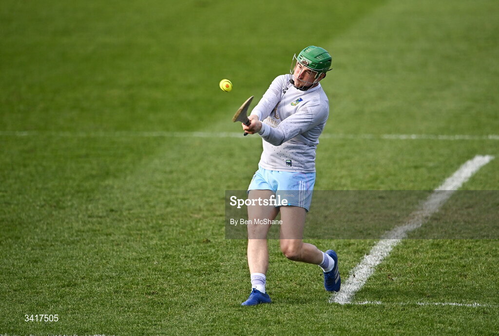 5 April 2026; Limerick goalkeeper Nickie Quaid during the Allianz Hurling League Division 1A final match between Limerick and Cork at TUS Gaelic Grounds in Limerick. Photo by Ben McShane/Sportsfile