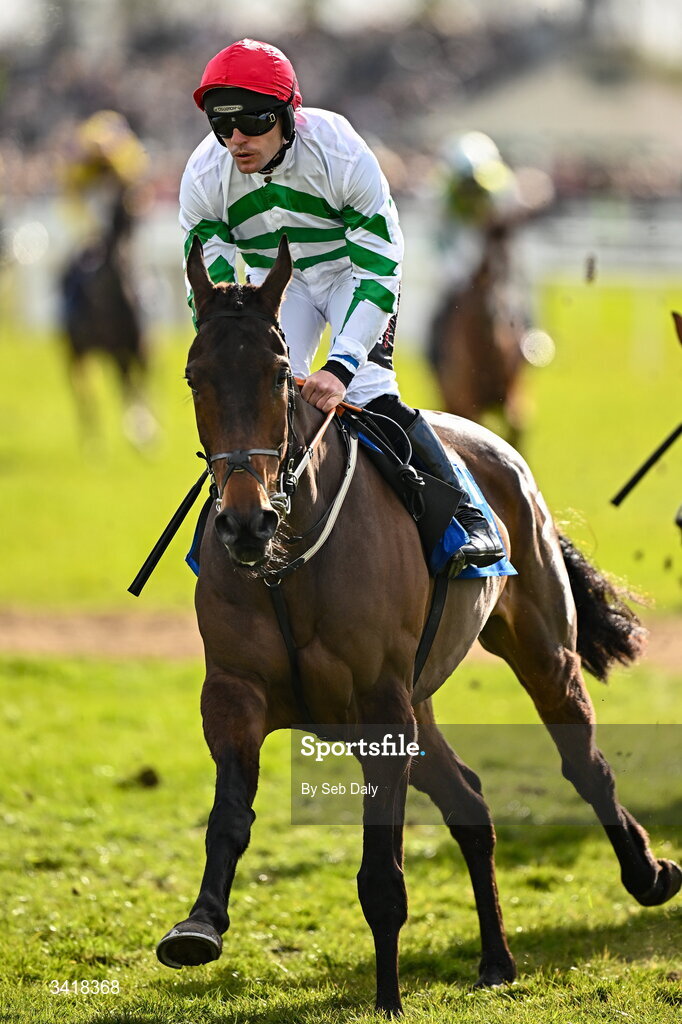 6 April 2026; Jockey Robert James and Better Days Ahead go to post before the BOYLE Sports Irish Grand National Steeplechase during day three of the Fairyhouse Easter Festival at Fairyhouse Racecourse in Ratoath, Meath. Photo by Seb Daly/Sportsfile