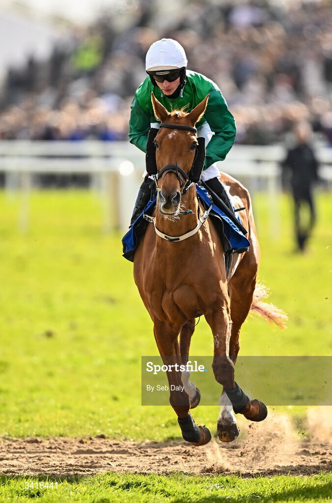 6 April 2026; Jockey James Bowen and O'Toole go to post before the BOYLE Sports Irish Grand National Steeplechase during day three of the Fairyhouse Easter Festival at Fairyhouse Racecourse in Ratoath, Meath. Photo by Seb Daly/Sportsfile