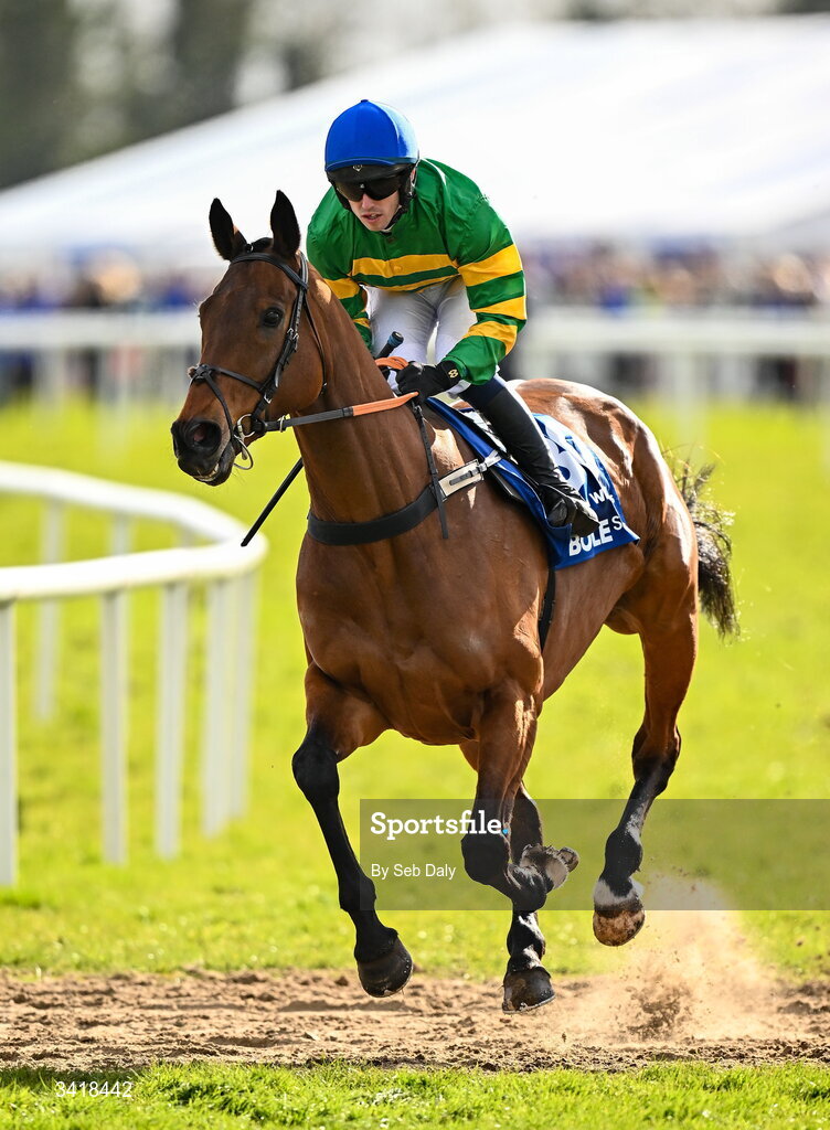 6 April 2026; Jockey Darragh O'Keeffe and Waterford Whispers go to post before the BOYLE Sports Irish Grand National Steeplechase during day three of the Fairyhouse Easter Festival at Fairyhouse Racecourse in Ratoath, Meath. Photo by Seb Daly/Sportsfile