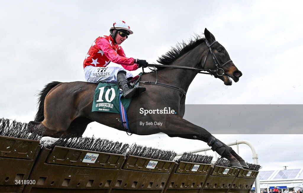 6 April 2026; Michonne, with Donagh Meyler up, during the O'Driscoll's Irish Whiskey Juvenile Hurdle on day three of the Fairyhouse Easter Festival at Fairyhouse Racecourse in Ratoath, Meath. Photo by Seb Daly/Sportsfile
