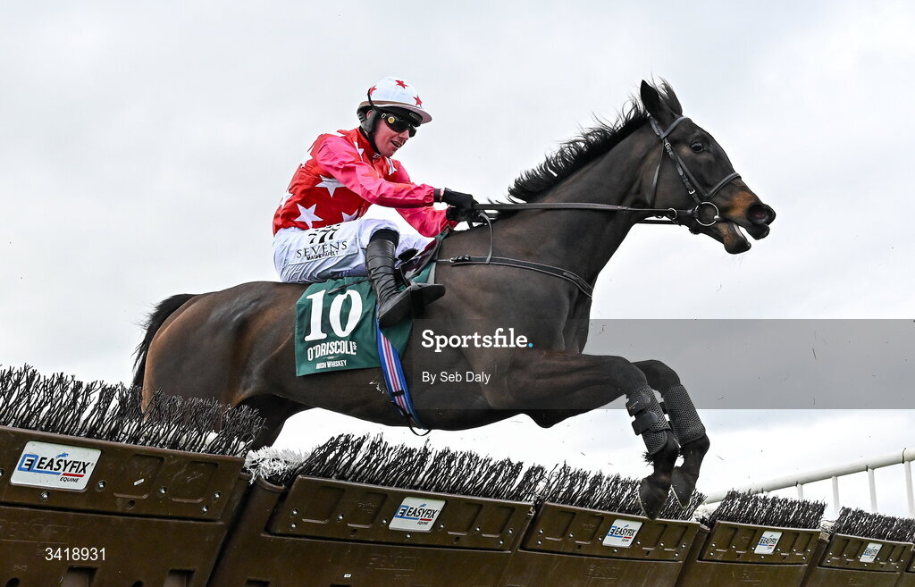 6 April 2026; Michonne, with Donagh Meyler up, during the O'Driscoll's Irish Whiskey Juvenile Hurdle on day three of the Fairyhouse Easter Festival at Fairyhouse Racecourse in Ratoath, Meath. Photo by Seb Daly/Sportsfile